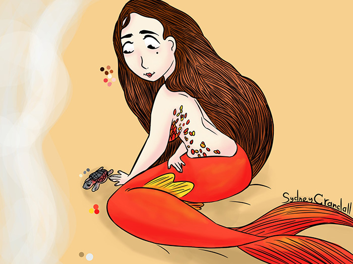 mermay mermaid number fourteen